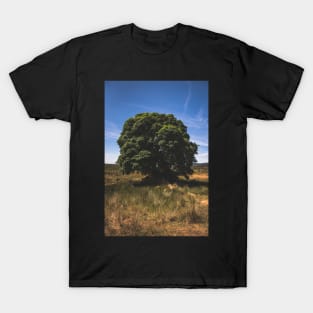 Sally Gap Tree T-Shirt